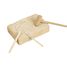 Kit Paleo - Estegosaurio UL2823 Ulysse 3
