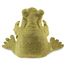 Marioneta de mano Rana divertida FO-3033 Folkmanis 4
