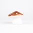 Hucha hongo cobre EG314710 Egmont Toys 5
