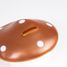 Hucha hongo cobre EG314710 Egmont Toys 2