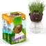 Sr. GREEN - Cabeza de empuje RC-015417 Radis et Capucine 1