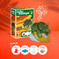 Juego de moldes de Triceratops MM-39050 Mako Créations 3