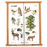 Pizarra de madera El Bosque JJ4671 Jeujura 1