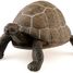 Figura de tortuga PA50013-2906 Papo 3