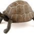Figura de tortuga PA50013-2906 Papo 2