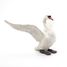 Figura de cisne blanco PA-50115 Papo 2
