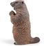 Estatuilla de marmota PA50128-2927 Papo 5