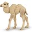 Figura de camello bebé PA50221 Papo 1