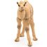 Figura de camello bebé PA50221 Papo 3