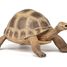 Figura de la tortuga de Hermann PA-50264 Papo 1