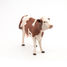 Figura Vaca Montbéliarde PA51165 Papo 4