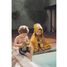 Toalla capa 70x130cm - Mr Lion TX-11-851 Trixie 5