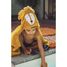 Toalla capa 70x130cm - Mr Lion TX-11-851 Trixie 6