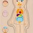 Puzzle del cuerpo humano, niño GK57361 Goki 6