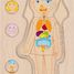 Puzzle del cuerpo humano, niña GK57362 Goki 4