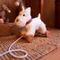 Lola el perro para arrastrar EG591036 Egmont Toys 5