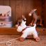 Lola el perro para arrastrar EG591036 Egmont Toys 6
