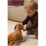 Edward el perro para arrastrar EG591038 Egmont Toys 10