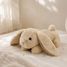 Peluche con proyector de estrellas Conejo Cloudb-7472-BBN Cloud b 2