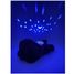 Peluche con proyector de estrellas Caniche Cloudb-7472-PD Cloud b 3