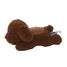 Peluche con proyector de estrellas Caniche Cloudb-7472-PD Cloud b 1