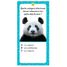 Mega Atlas de Animales SJ-1421 Sassi Junior 6