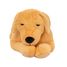 Perro de peluche con peso 2,2 kg As-84680 ByAstrup 2