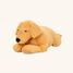 Perro de peluche con peso 2,2 kg As-84680 ByAstrup 5