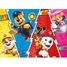 Puzzle La colorida Paw Patrol 60 piezas N86186 Nathan 2