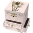 Caja musical Hada de las cerezas rosa 13,5x10x10cm TR-S13003 Trousselier 2