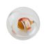 Pelota flotante Pez payaso B38012 Bass & Bass 4