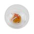 Pelota flotante Pez payaso B38012 Bass & Bass 6