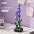Maceta floral Lavanda 205 piezas C59027W CaDA 2