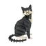 Modelo 3D de papel Gato blanco y negro FRI-11759 Fridolin 1
