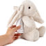 Luz nocturna musical Billy el Conejo Cloudb-7703-BB Cloud b 3