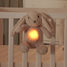 Luz nocturna musical Billy el Conejo Cloudb-7703-BB Cloud b 7