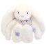 Peluche Conejo Fleurette blanco 35 cm DC4301 Doudou et Compagnie 2