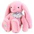 Peluche Conejo Fleurette rosa 35 cm DC4302 Doudou et Compagnie 2