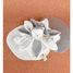Peluche Oso gris 25 cm DC4337 Doudou et Compagnie 3