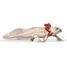 Figura de ajolote PA-56066 Papo 5