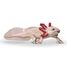 Figura de ajolote PA-56066 Papo 1