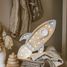 Nightlight Rocket gris claro LL032-000-500 Little Lights 2