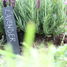 6 marcadores de pizarra para plantas ED-GT131 Esschert Design 4