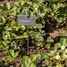 Marcador de pizarra para plantas ED-GT132 Esschert Design 4