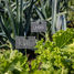 Marcador de pizarra para plantas ED-GT132 Esschert Design 5