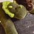 Peluche de dinosaurio verde 40 cm HO3362 Histoire d'Ours 2