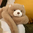 Peluche de oso marrón 40 cm HO3363 Histoire d'Ours 3