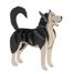 Modelo 3D de papel Husky siberiano FRI-11638 Fridolin 1