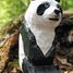 Figura Panda en madera WU-40705 Wudimals 4