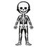 Puzzle educativo El cuerpo humano J02681 Janod 4